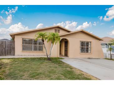 Charming home featuring two palm trees, a well-maintained lawn, and a concrete driveway at 3213 W Ivy St, Tampa, FL 33607
