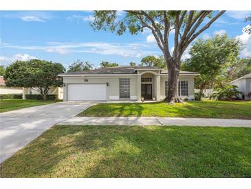 Charming single-story home with well-manicured lawn and mature tree providing shade at 18520 Ambly Ln, Tampa, FL 33647
