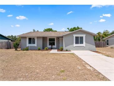 Charming single-story home featuring a well-maintained lawn and freshly painted exterior at 2214 Selkirk St, Valrico, FL 33594