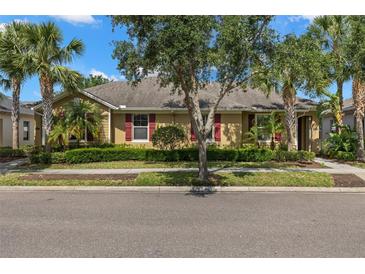 Charming home exterior with well-manicured landscaping and palm trees at 11308 Temperley Pl, Tampa, FL 33625