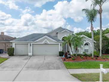 Charming single-Gathering home boasting a three-car garage, well-manicured lawn, and vibrant tropical landscaping at 29542 Forest Glen Dr, Wesley Chapel, FL 33543