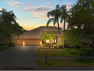 Inviting exterior view of a well-manicured home with palm trees and a spacious driveway at 5216 Kernwood Ct, Palm Harbor, FL 34685