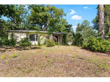 Modest single-story home featuring a lush, natural landscape, inviting a sense of tranquility and privacy at 11722 N Edison Ave, Tampa, FL 33612