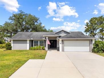 Charming single-story home with a well-manicured lawn and a spacious two-car garage at 18408 Hanna Rd, Lutz, FL 33549