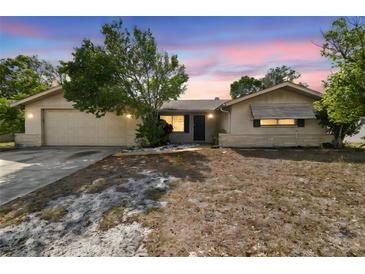 Charming single-story home with a front lawn and attached two-car garage under a pink and blue sky at 8907 Pandora Ln, Port Richey, FL 34668