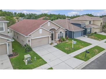 Charming single-Gathering home featuring a well-maintained lawn and a spacious two-car garage at 9644 Jasmine Brook Cir, Land O Lakes, FL 34638