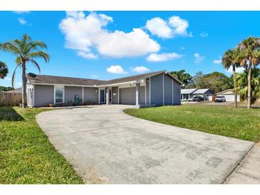 Charming home featuring a gray exterior, palm trees, and a long driveway at 8520 Woodall Ct, Tampa, FL 33615