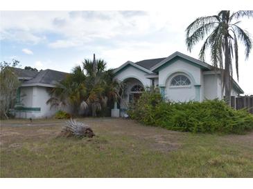 Inviting single Gathering home with a well-manicured lawn and lush landscaping in a quiet neighborhood at 10223 Tarragon Dr, Riverview, FL 33569