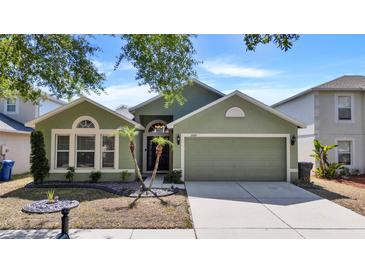 Charming single-Gathering home featuring a well-maintained lawn, mature trees, and a two-car garage at 10409 Fly Fishing St, Riverview, FL 33569