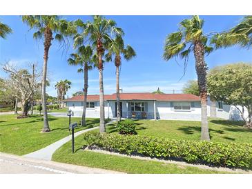 Charming single-story home with a lush green lawn and mature palm trees creating a tropical feel at 10737 Scenic Dr, Port Richey, FL 34668