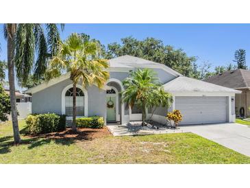 Charming single-story home with well-manicured lawn, lovely landscaping, and a two-car garage at 18013 Palm Breeze Dr, Tampa, FL 33647