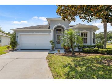 Charming single-story home featuring a well-manicured lawn and a two-car garage in a tranquil neighborhood at 11220 Godwit Ct, New Port Richey, FL 34654