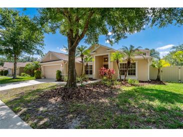 Beautiful single-story home with tropical landscaping and mature trees in a well-maintained neighborhood at 8211 Canyon Creek Way, Tampa, FL 33647