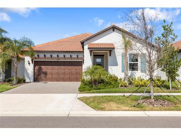 Beautiful single-story home with a tile roof, attached two-car garage, and mature landscaping at 17249 Star Banks St, Wimauma, FL 33598