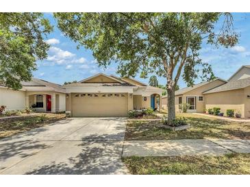 Charming single-story home featuring a well-maintained lawn and a two-car garage at 925 Windton Oak Dr, Ruskin, FL 33570