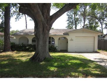 Charming single-story home featuring a well-manicured front lawn and a large tree providing ample shade at 162 Sw Lincoln N Cir, St Petersburg, FL 33703