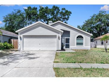 Charming single-Gathering home featuring a two-car garage and well-maintained front yard at 13613 Laraway Dr, Riverview, FL 33579