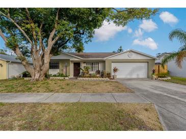 Charming single Gathering home with a well-maintained lawn and mature tree in a quiet neighborhood at 5036 Glenhurst Ln, New Port Richey, FL 34653