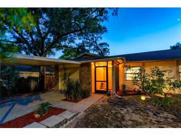Charming home featuring stone accents, mature trees, and inviting front entrance under evening sky at 9812 N Pawnee Ave, Tampa, FL 33617