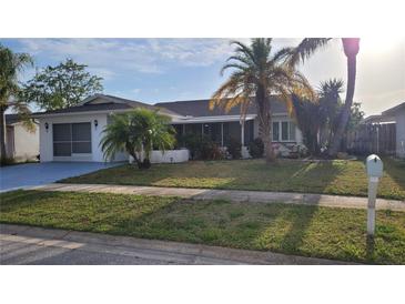 Charming single-story home with a well-maintained front yard, mature palm trees, and an attached two-car garage at 2211 Harrison Dr, Holiday, FL 34691