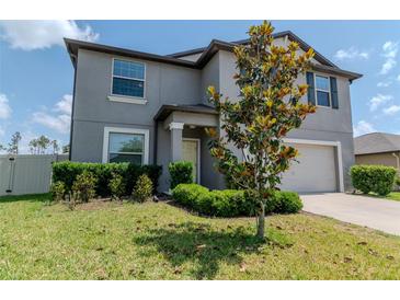 Charming two-story home with a well-maintained lawn and landscaping, including a young tree and trimmed shrubs at 6653 Mineral Springs Rd, New Port Richey, FL 34653