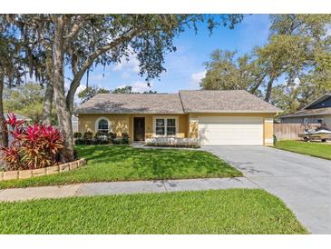 Charming home featuring a well-manicured lawn, mature trees, and a freshly painted exterior at 1017 Hamilton Ave, Tarpon Springs, FL 34689