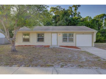 Charming single-story home featuring a manicured lawn and inviting front entrance at 10319 Widgeon Way, New Port Richey, FL 34654