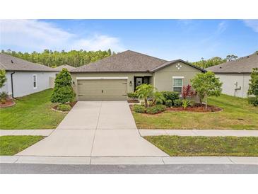 Charming single-story home with manicured lawn, mature trees, and an attached two-car garage at 19041 Alfaro Loop, Spring Hill, FL 34610