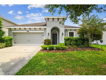 Charming single-story home featuring a well-manicured lawn and an inviting front entrance at 8228 Sunlit Horizon Ln, Land O Lakes, FL 34637