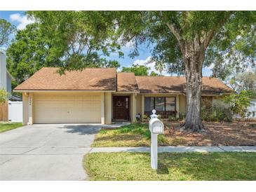 Charming single-story home featuring a well-maintained lawn and mature trees at 12606 Rain Forest St, Temple Terrace, FL 33617