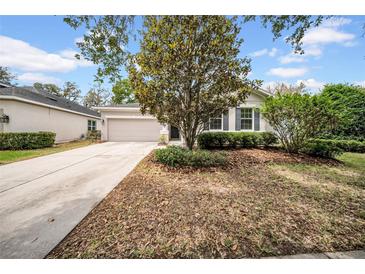 Charming single-story home featuring a lush front yard and attached two-car garage at 15810 Starling Water Dr, Lithia, FL 33547