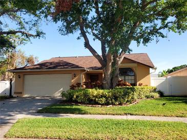 Charming single-story home featuring a well-maintained front yard and mature landscaping at 3621 102Nd N Pl, Clearwater, FL 33762