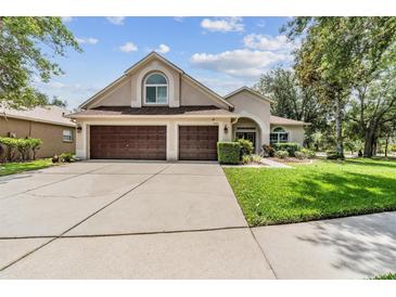 Charming single-Gathering home featuring a two-car garage, well-maintained lawn, and mature trees at 6038 Palomaglade Dr, Lithia, FL 33547