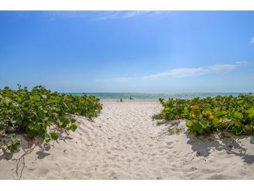 Sandy beach path leading to the ocean with lush green vegetation on either side under a clear blue sky at 19530 Gulf Blvd # 4A, Indian Shores, FL 33785