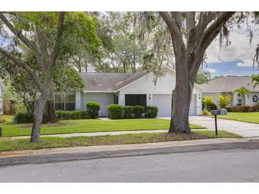 Charming single-story home featuring a manicured lawn and mature trees with moss at 3569 Oak Lake Dr, Palm Harbor, FL 34684