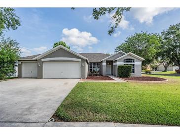 Charming single-story home with a well-manicured lawn and a three-car garage at 4708 Ranch Grove Ct, Valrico, FL 33596