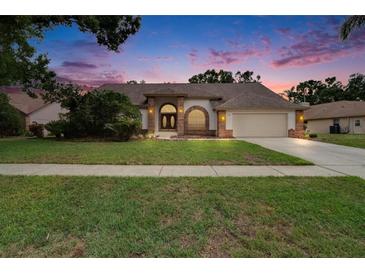 Charming single-story home with a well-manicured lawn and inviting facade at dusk at 2413 Buckhorn Run Dr, Valrico, FL 33596