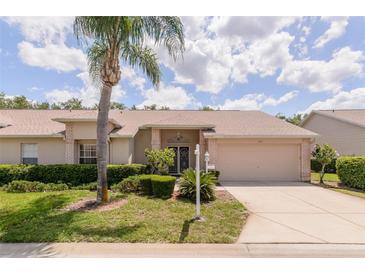 Charming single-story home featuring a well-manicured lawn and a two-car garage, and a large palm tree at 1142 Sweet Jasmine Dr, Trinity, FL 34655