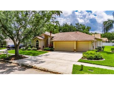 Charming single-story home with well-manicured lawn and a spacious three-car garage at 17711 Hampshire Oak Dr, Tampa, FL 33647
