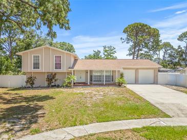 Charming raised ranch-style home with a spacious two-car garage and well-maintained landscaping at 6607 Larimer Dr, Tampa, FL 33615