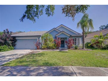 Charming blue single-story home boasting a well-manicured lawn and lush, tropical landscaping at 7107 Colonial Lake Dr, Riverview, FL 33578