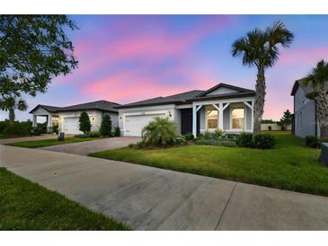 Charming single-story home featuring a landscaped front yard, driveway, and a beautiful pink sky at 20033 Sea Glass Cir, Land O Lakes, FL 34638
