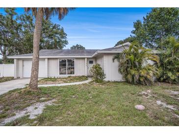 Charming single-story home featuring a well-manicured lawn and mature landscaping at 7004 Lambright Ct, Tampa, FL 33634