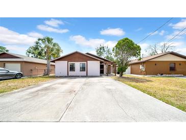 Charming single-story home featuring a concrete driveway and tropical landscaping at 6915 N Hubert Ave, Tampa, FL 33614
