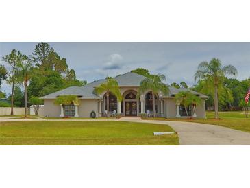 Stunning single-story home with a well-manicured lawn and an elegant, arched entryway framed by columns at 12501 Palomino Ct, Tampa, FL 33626
