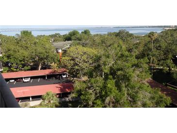 Scenic view showcasing the property with lush trees, covered parking, and distant water at 2699 Seville Blvd # 802, Clearwater, FL 33764
