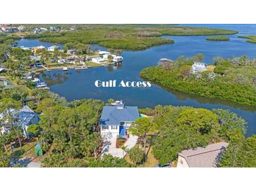 Stunning aerial view of a waterfront home with direct Gulf access and lush tropical landscaping at 6805 Arroyo Dr, New Port Richey, FL 34652