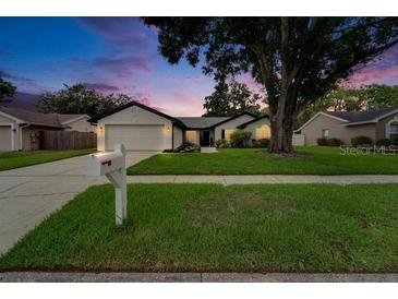 Charming single-story home featuring a lush green lawn, mature trees, and a two-car garage at 10412 Tara Dr, Riverview, FL 33578