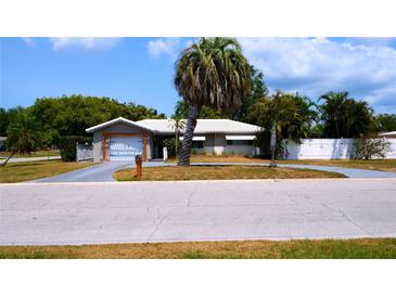 Charming single-story home with well-kept lawn and mature palm trees providing shade and curb appeal at 101 S Maywood Ave, Clearwater, FL 33765
