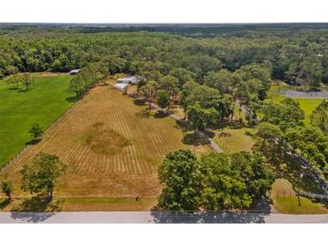Expansive aerial view of a large parcel of land with lush trees and open fields at 495 Appaloosa Rd, Tarpon Springs, FL 34688